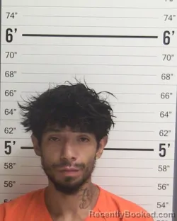 Mugshot of ALAZHAR JOSE LUCERO booked in Curry County, New Mexico on July 28, 2026