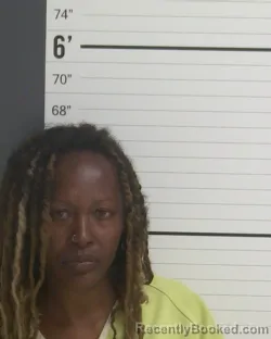 Mugshot of Kimberly Denise Williams booked in Curry County, New Mexico on August 15, 2026