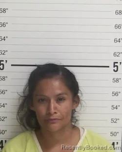 Mugshot of Jessica Marie Garcia booked in Curry County, New Mexico on August 17, 2026