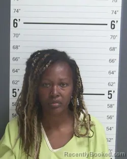 Mugshot of Kimberly Denise Williams booked in Curry County, New Mexico on August 19, 2026