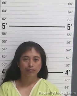 Mugshot of Catalina Jose Ramos booked in Curry County, New Mexico on August 21, 2026