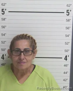 Mugshot of Phyllis Soria booked in Curry County, New Mexico on September 22, 2026