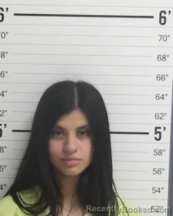 Curry County Arrests & Mugshots – Page 2 | New Mexico