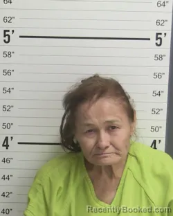 Mugshot of Mary Finnell booked in Curry County, New Mexico on October 6, 2026