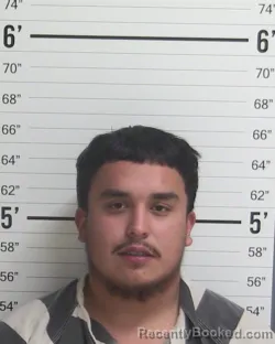 Mugshot of Luis Ceron booked in Curry County, New Mexico on October 14, 2026