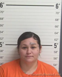 Mugshot of Sabrina Marie Grubbs booked in Curry County, New Mexico on October 21, 2026
