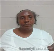Mugshot of Janetha Kay Brooks booked in Brown County, Texas on August 13, 2026