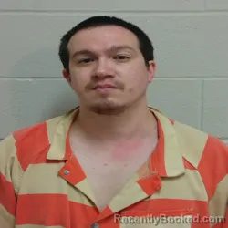 Mugshot of JAMES PATRICK BROWN