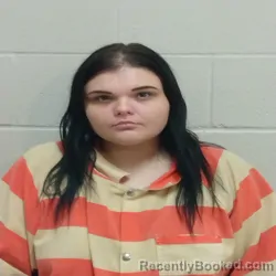 Mugshot of NICHOLE DARLYNE BRAMMER