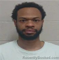 Mugshot of SHANE VERNON BEDNEAU