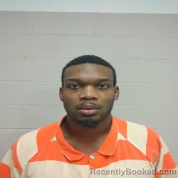 Mugshot of WILLIAM FRANKLIN BRITTON