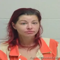 Mugshot of TASHEENA DANIELLE CURTIS