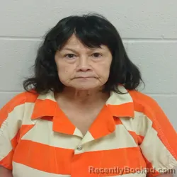Mugshot of THERESA ANN CASTILLO booked in Brown County, Texas on May 18, 2026