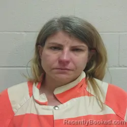 Mugshot of ASHLEY NICOLE ELLIS