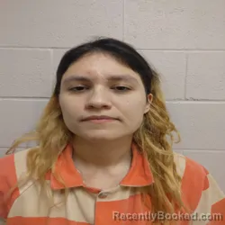 Mugshot of Miranda Elizabeth Elizondo