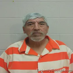 Mugshot of DANNY RAY GRAY booked in Brown County, Texas on March 12, 2026