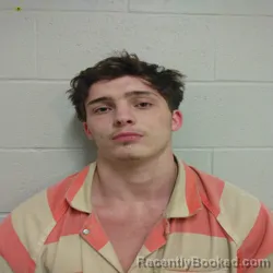 Mugshot of DENNY MAURICE HOPKINS booked in Brown County, Texas on March 28, 2026