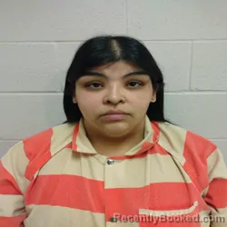 Mugshot of ELOISA IBARRA
