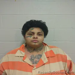 Mugshot of SHANEESE LANEY KIRVEN