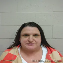 Mugshot of COURTNEY HUDSON LOCKETT