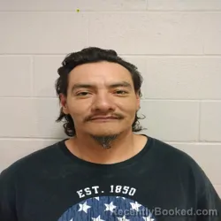 Mugshot of DAVID THOMAS LEWIS