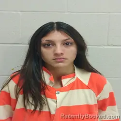 Mugshot of NATALIE NELSON