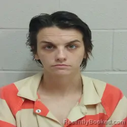 Mugshot of ALLISON ASHLEY OPTENBERG