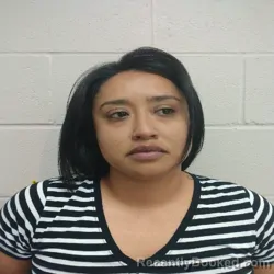 Mugshot of INAREI ARALY PESINA