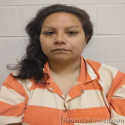Mugshot of ROSA MARIA RINEHART booked in Brown County, Texas on April 22, 2026