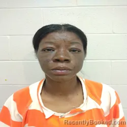 Mugshot of MINNIE MAY THOMPSON booked in Brown County, Texas on April 3, 2026