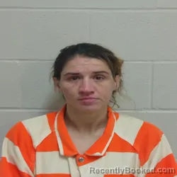 Mugshot of LISA ANN WOOD