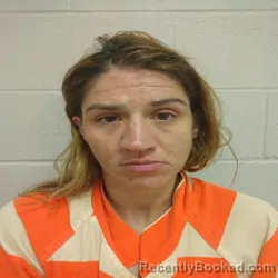 Mugshot of Lisa Ann Wood booked in Brown County, Texas on July 27, 2026