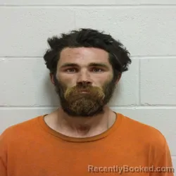 Mugshot of LEWIS LEE WATTS