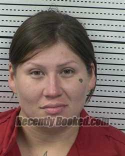 Booking photo from Dona Ana County, New Mexico