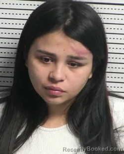 Booking photo from Dona Ana County, New Mexico