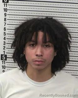 Booking photo from Dona Ana County, New Mexico