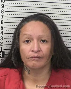 Booking photo from Dona Ana County, New Mexico