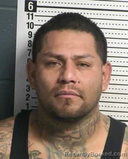 Mugshot of ALFONSO HERNANDEZ LEYVA