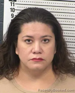 Mugshot of CHRISTINA RIZO
