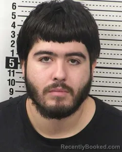 Mugshot of GILBERTO MORALES