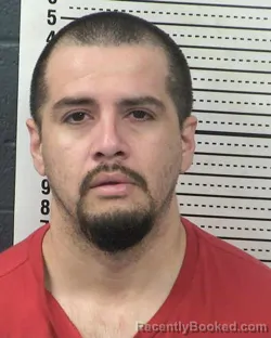 Mugshot of GERARDO RAMIREZ