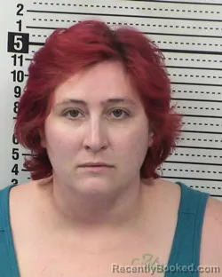 Mugshot of NICOLE RUIZ