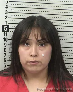Mugshot of JAZMINE MARIE NUNEZ SEGURA