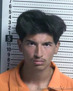Booking photo from Dona Ana County, New Mexico