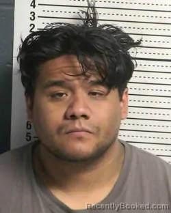Mugshot of DOMINICK ALEXANDER SANDOVAL