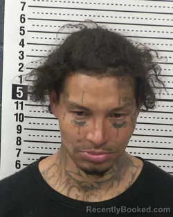 Mugshot of ALEXANDER MANUEL OGBURN