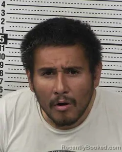 Booking photo from Dona Ana County, New Mexico