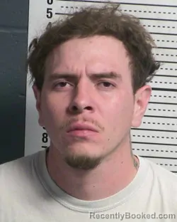 Mugshot of JERRY FERNANDEZ