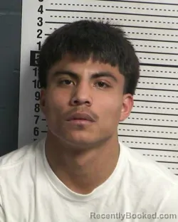 Mugshot of LEVI MANUEL CHAVEZ