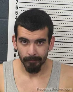 Mugshot of ANTHONY RENE LOPEZ